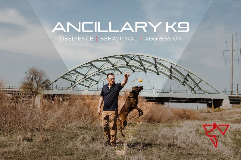 Ancillary K9 Dog Training photo 2