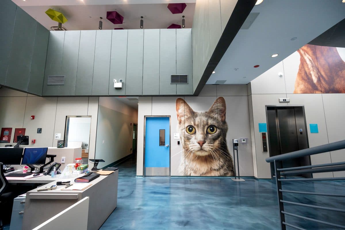 Animal Care Centers of NYC - Queens