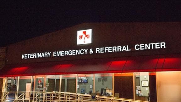 Animal Emergency Clinic NE
