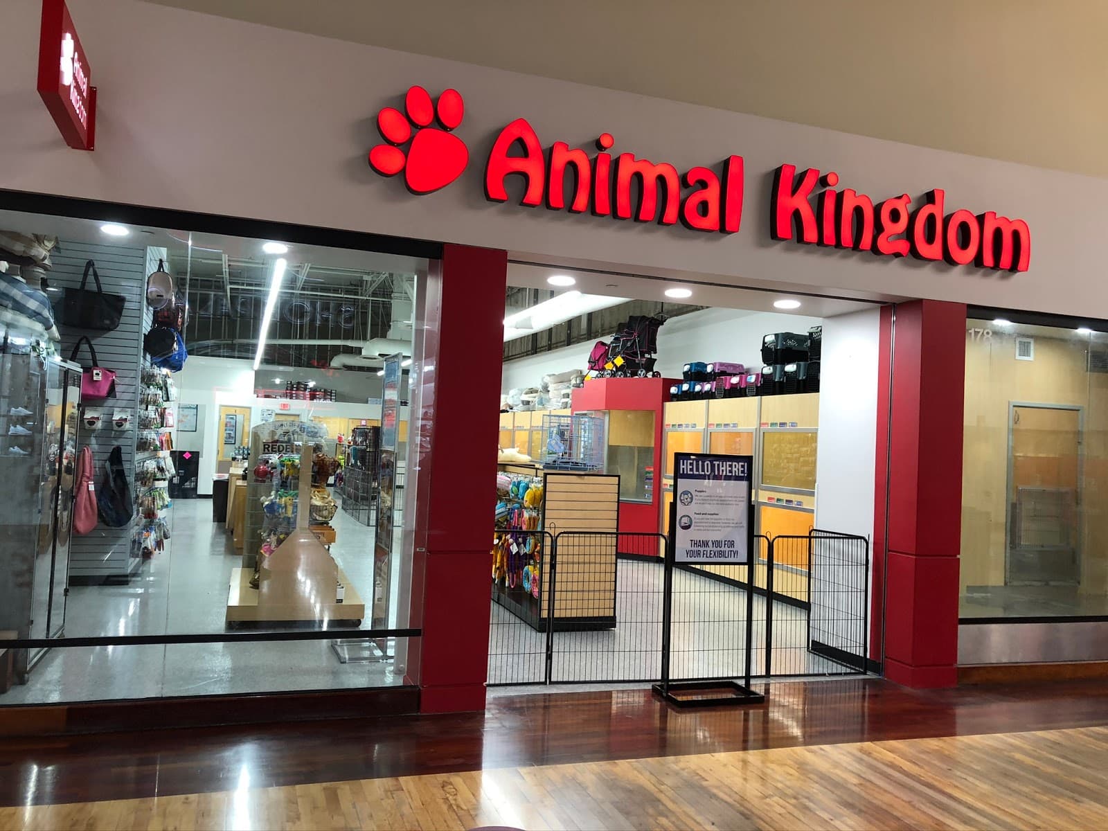 Animal Kingdom