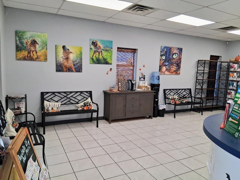 Animal Medical Center of Austin photo 3