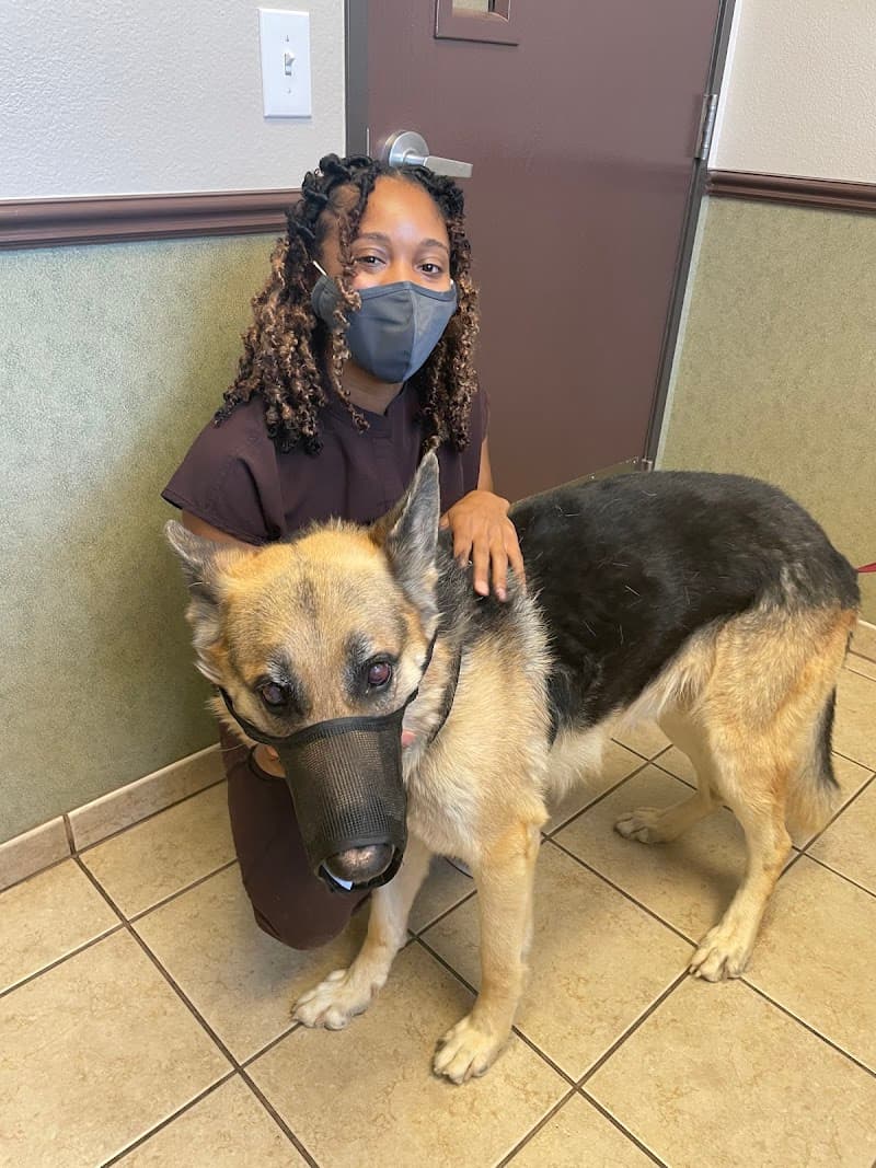 Ann Road Animal Hospital photo 3
