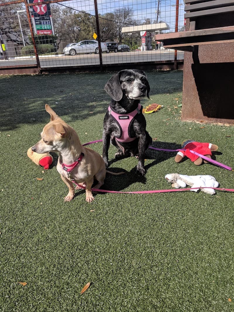 APA! Tarrytown Dog Adoption Center photo 2