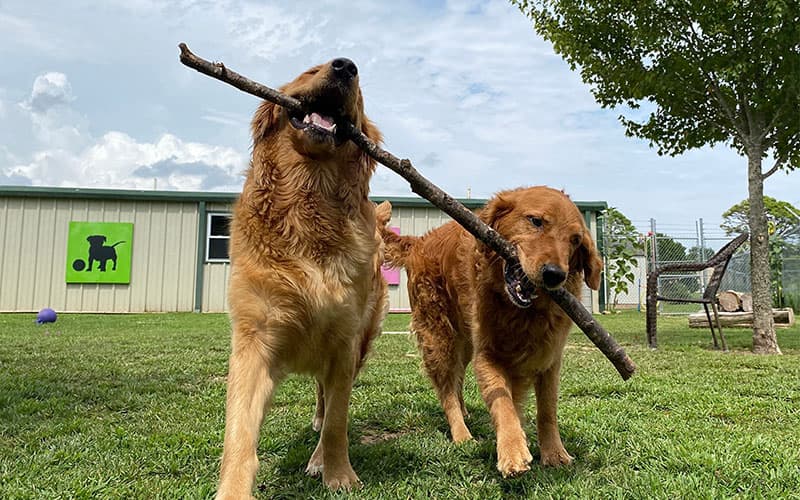 Aqua Animal Care Center