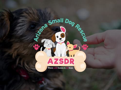 Arizona Small Dog Rescue