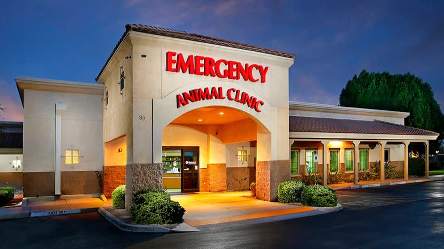 Arizona Veterinary Emergency & Critical Care Center (AVECCC)