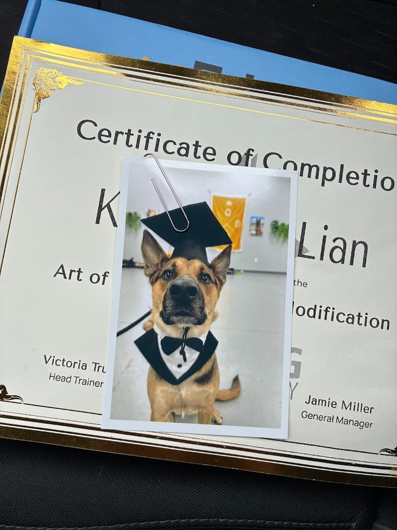 Art of the Dog Canine Academy photo 5
