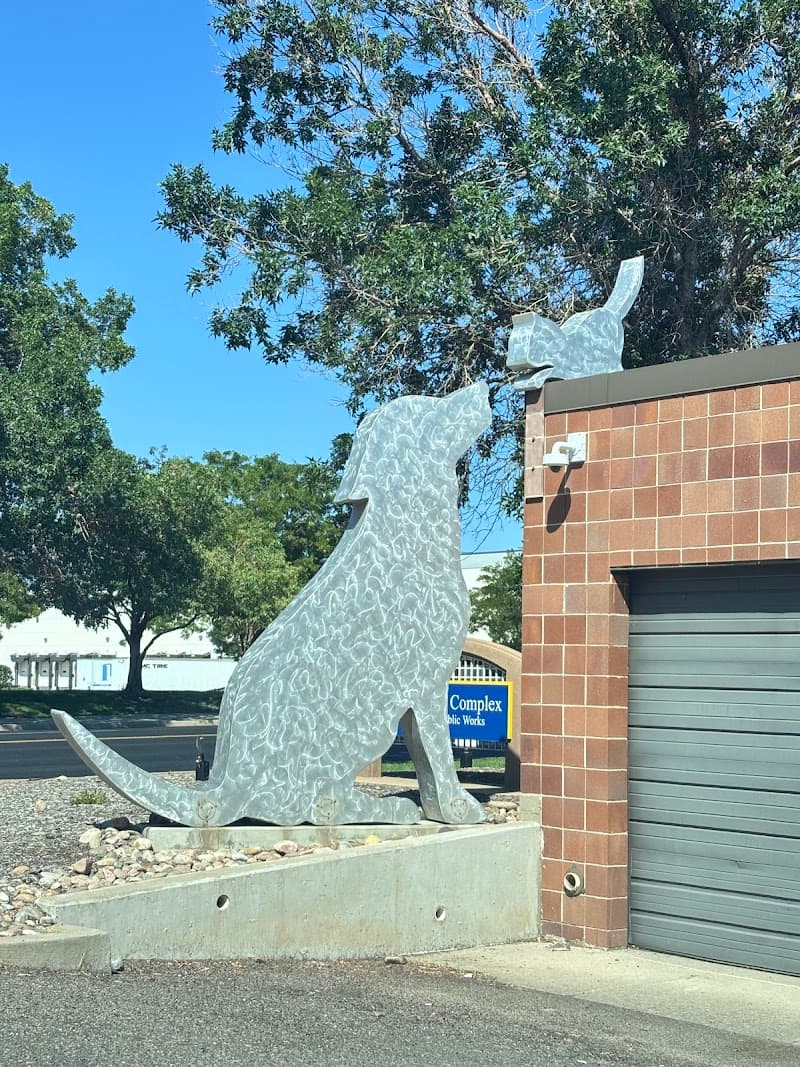 Aurora Animal Shelter photo 2