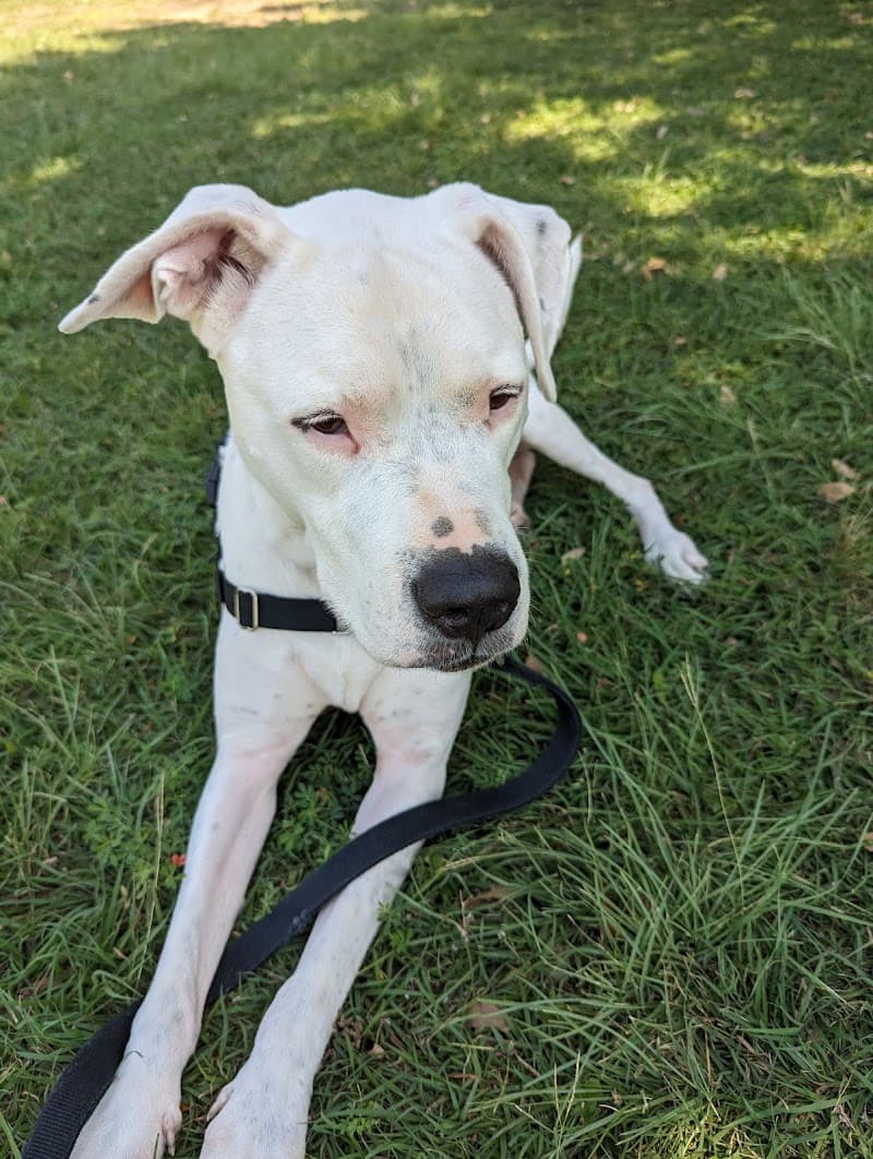 Austin Humane Society