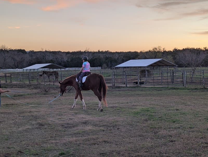 Austin Pet Ranch photo 3
