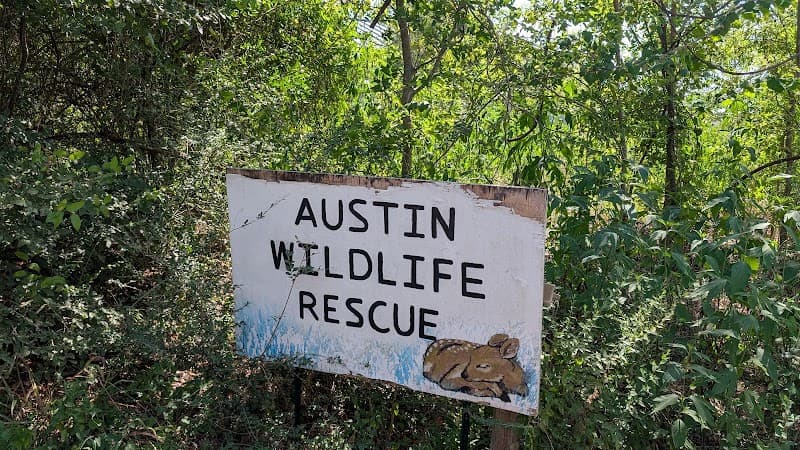 Austin Wildlife Rescue