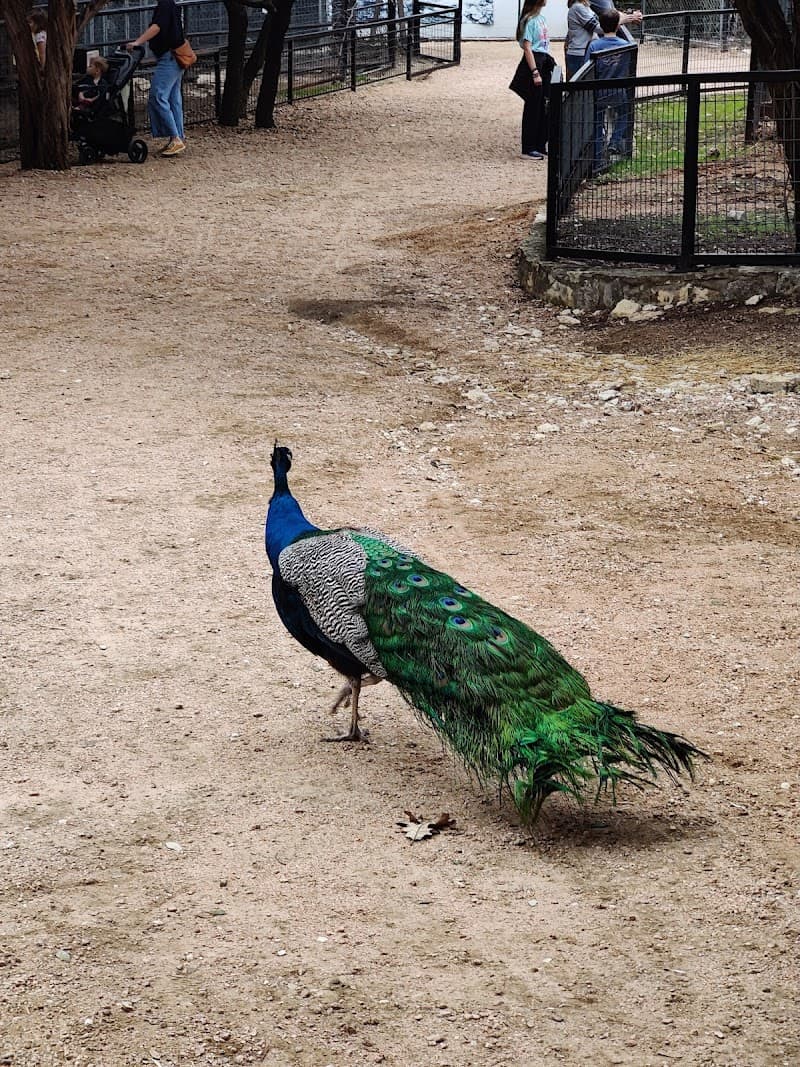 Austin Zoo