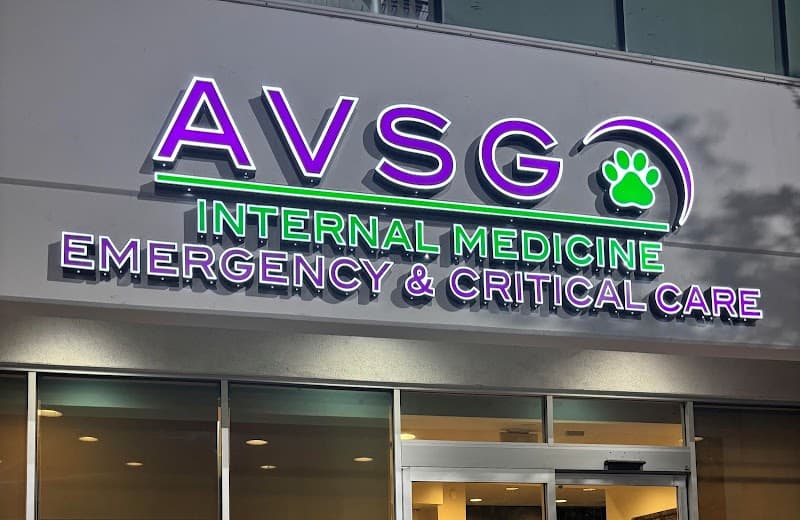 AVSG Internal Medicine Emergency & Critical Care