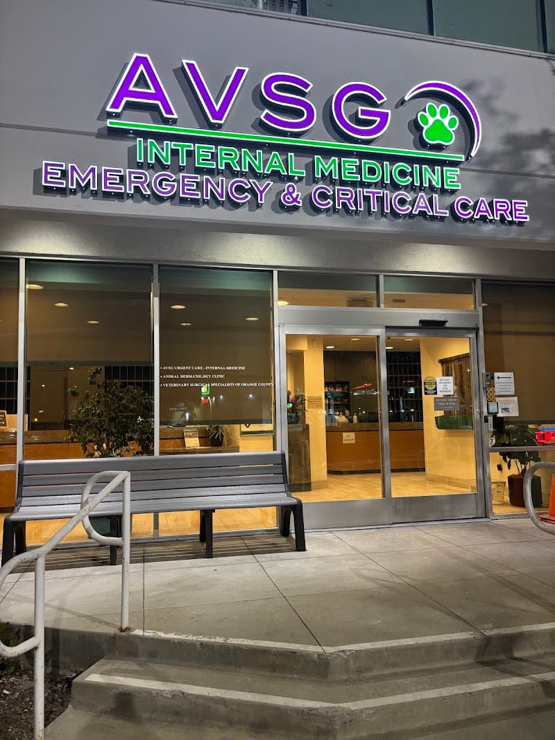 AVSG Internal Medicine Emergency & Critical Care photo 2