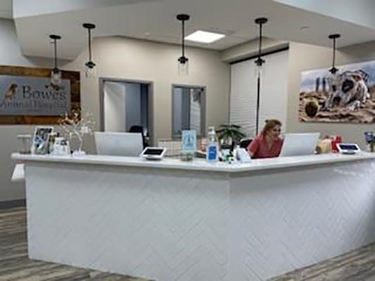 Bowes Animal Hospital