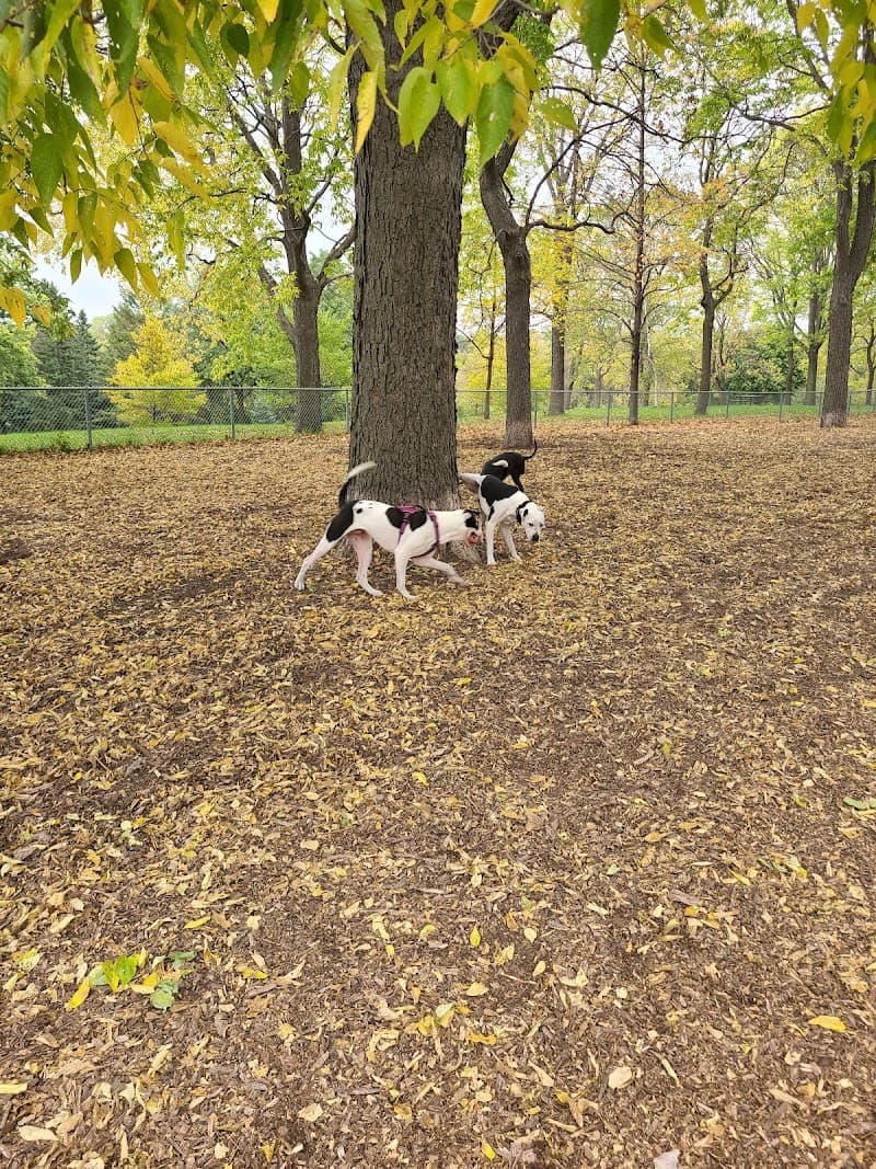 St. Anthony Off-Leash Recreation Area photo 2