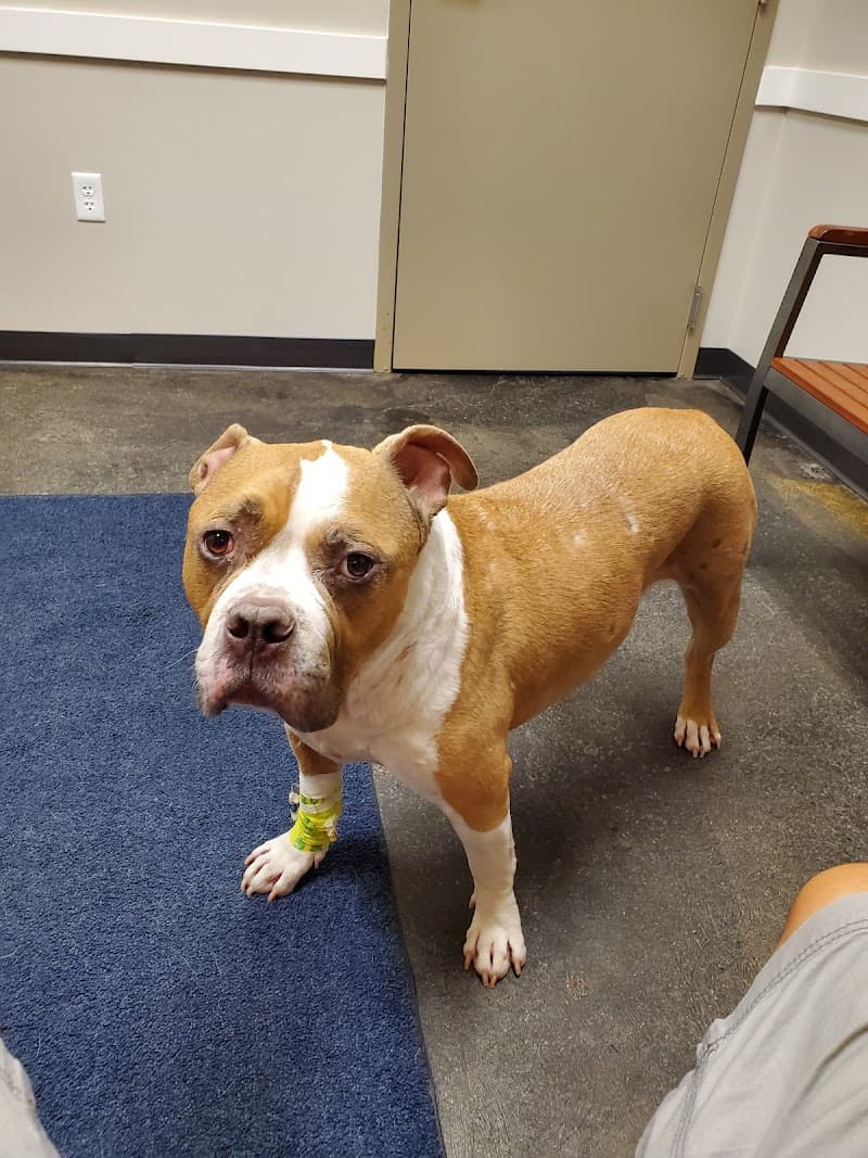 Dogwood Veterinary Referral Center