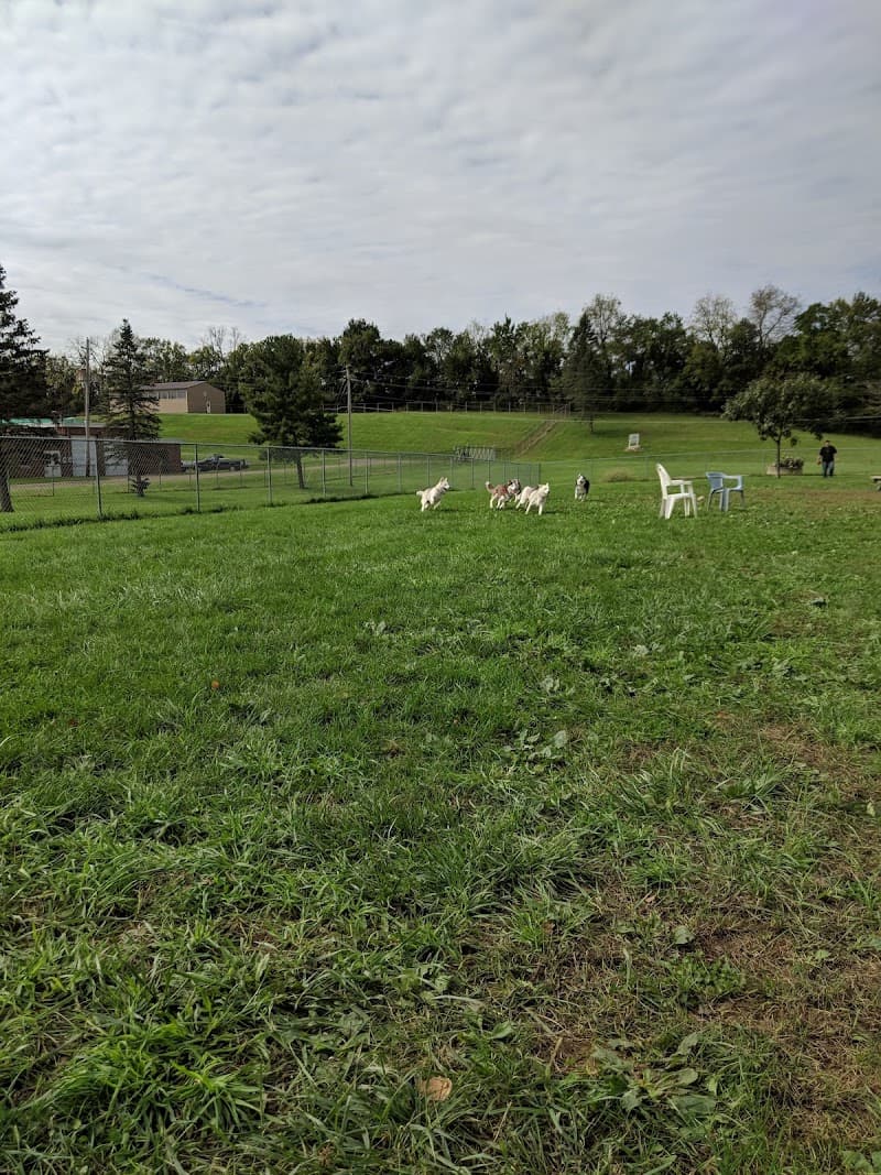 Canal Fulton Dog Park