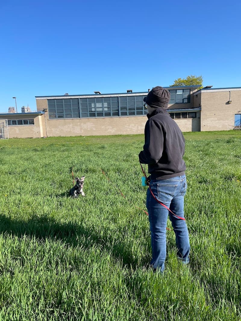 My Sidekick Dog Training photo 3