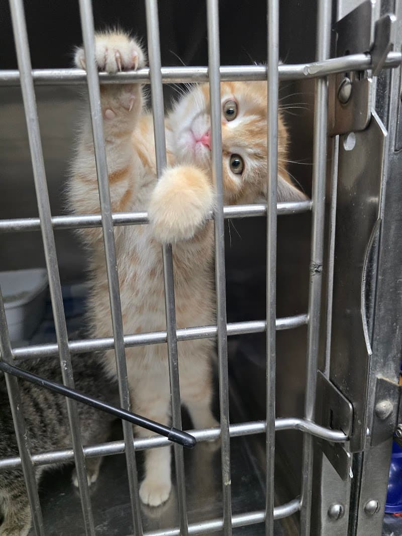 Animal Welfare League of Montgomery County