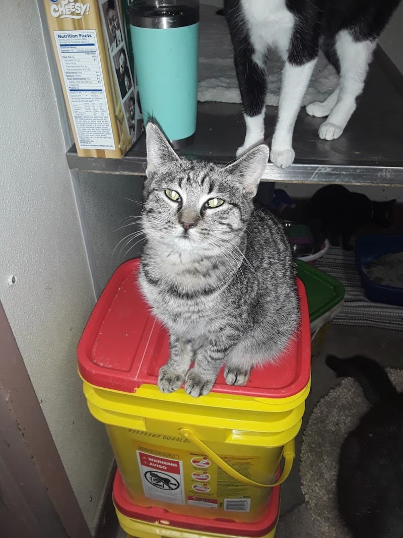 Animal Welfare League of Montgomery County photo 2