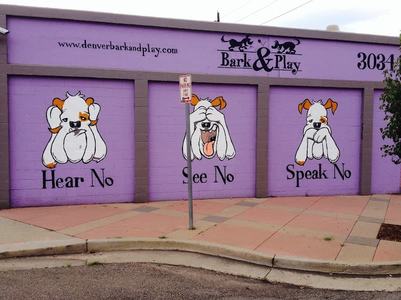Bark and Play Denver Dog Daycare and Boarding photo 6