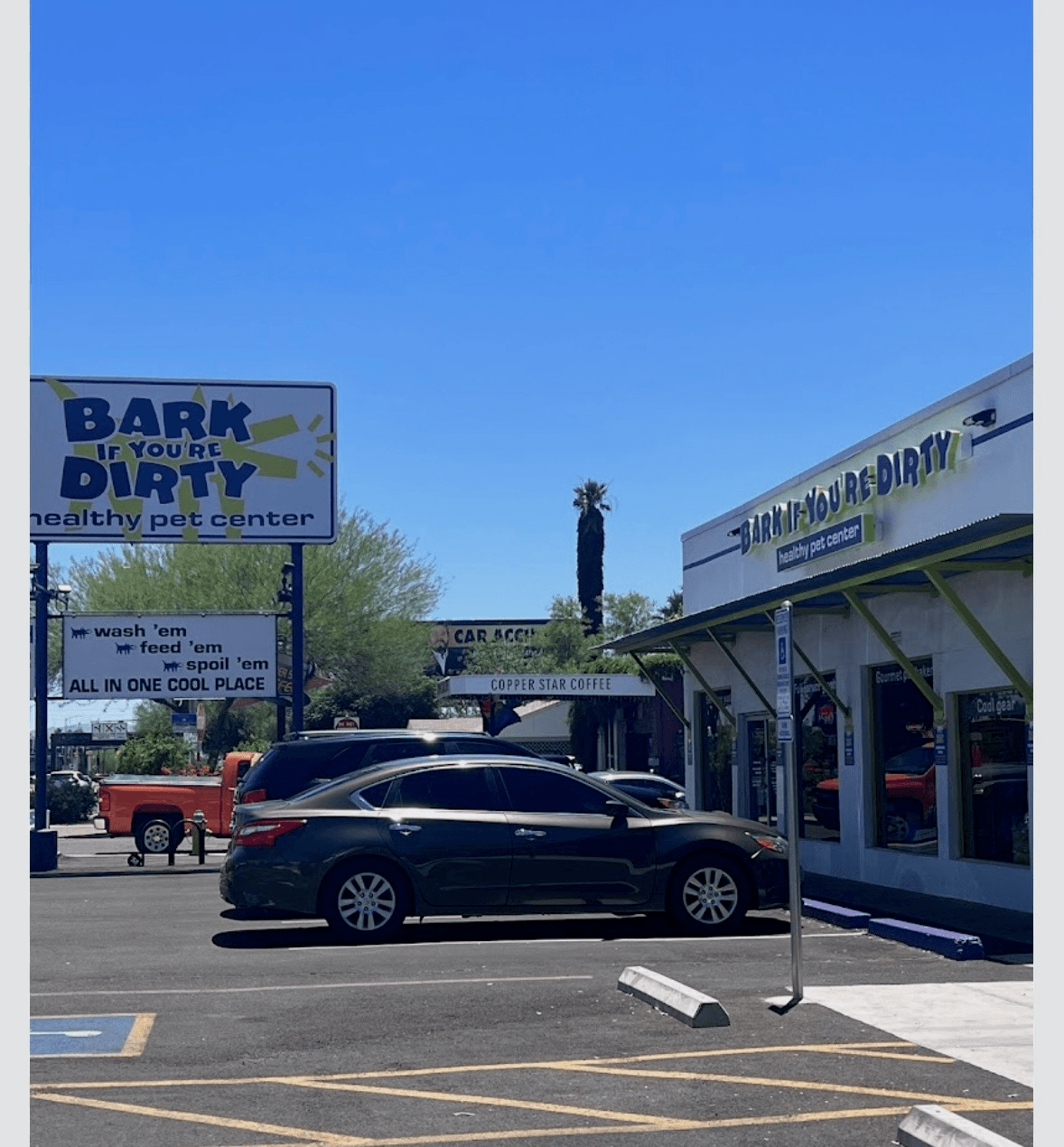 Bark If You’re Dirty - Phoenix