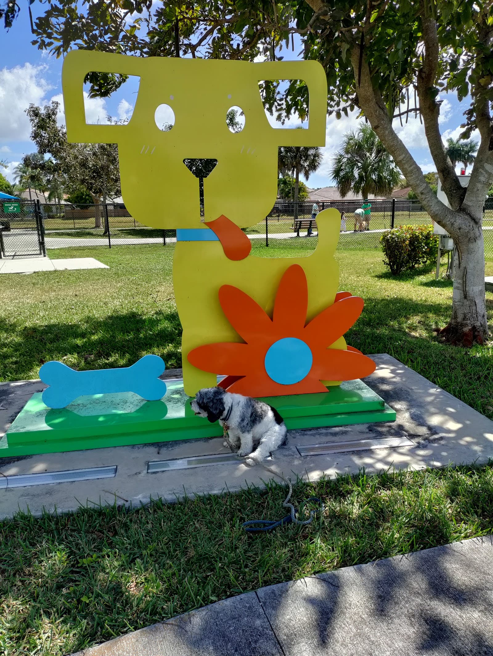 Bark Park
