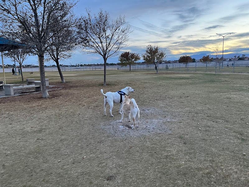 Barkin Basin Park photo 3