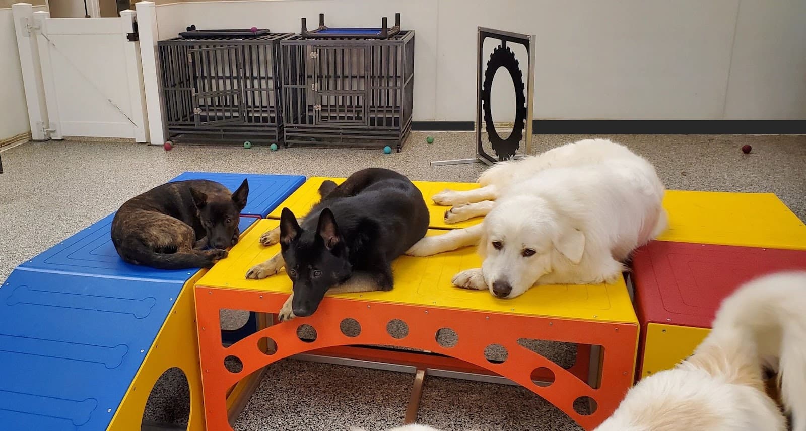 Barklandia