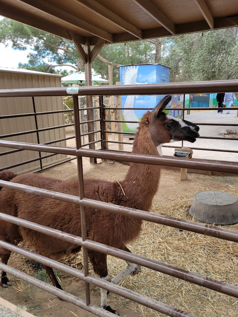 Barn Buddies Rescue