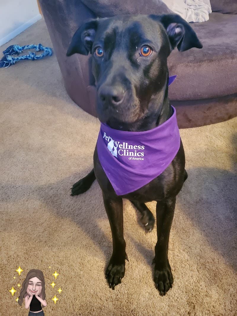 Pet Wellness Clinics photo 2