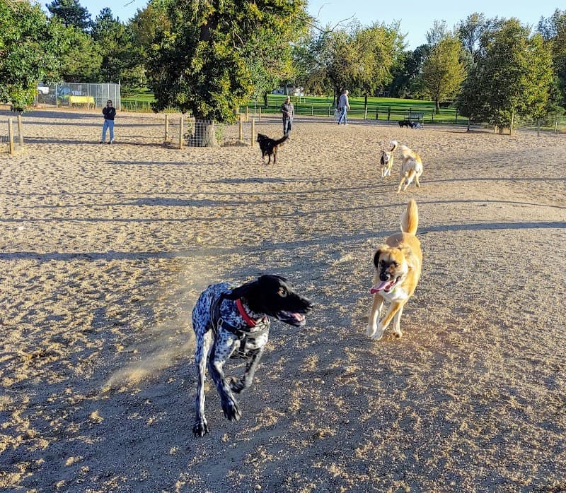 Berkeley Dog Park photo 5