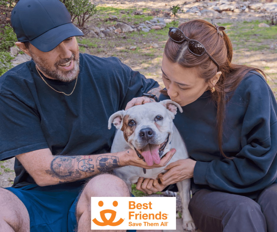 Best Friends Pet Adoption Center