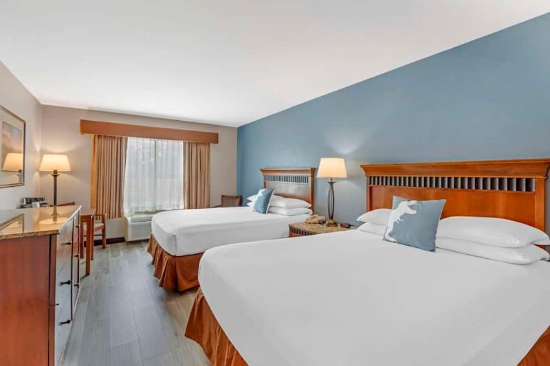 Best Western Denver Southwest photo 3