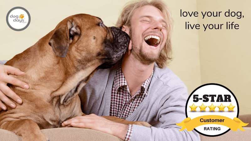 Dog Days Daycare & Boarding - Grand Ave