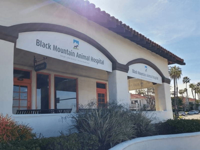 Black Mountain Animal Hospital - Rancho Peñasquitos, San Diego Veterinarian