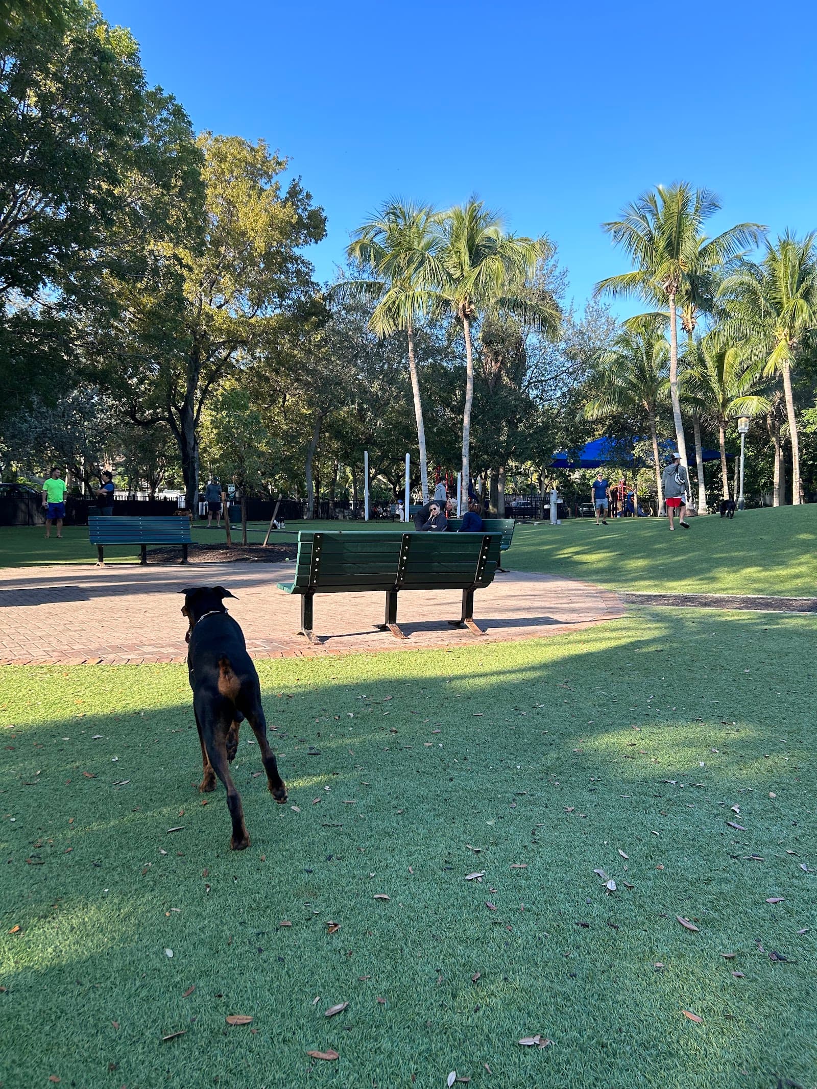 Blanche Park