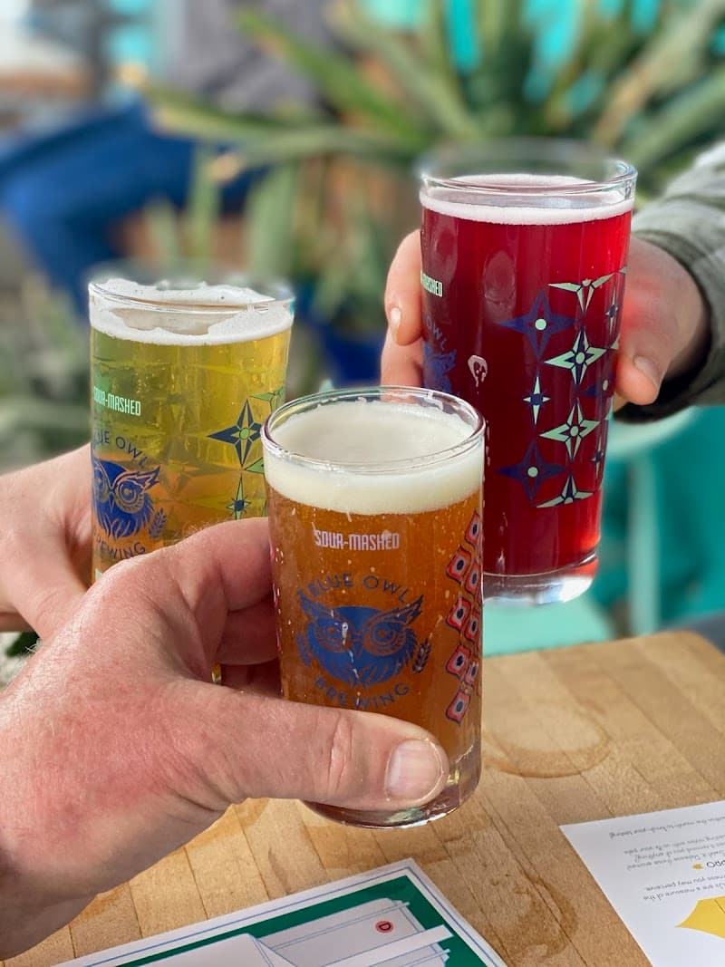Blue Owl Brewing photo 2