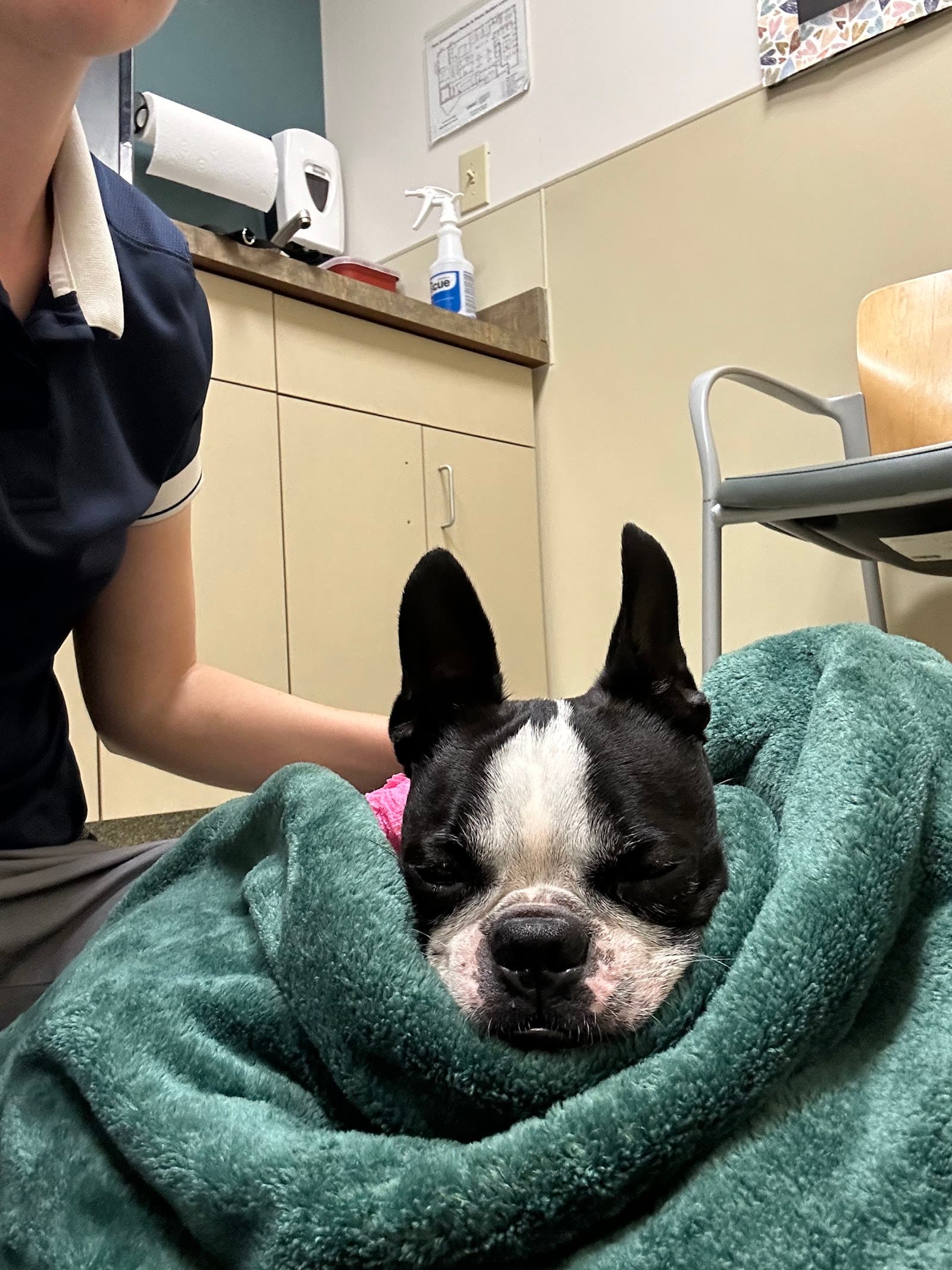 BluePearl Pet Hospital