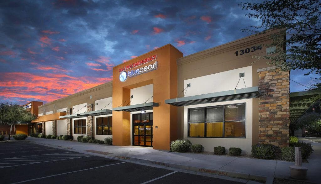 BluePearl Pet Hospital