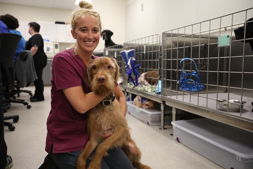 BluePearl Pet Hospital