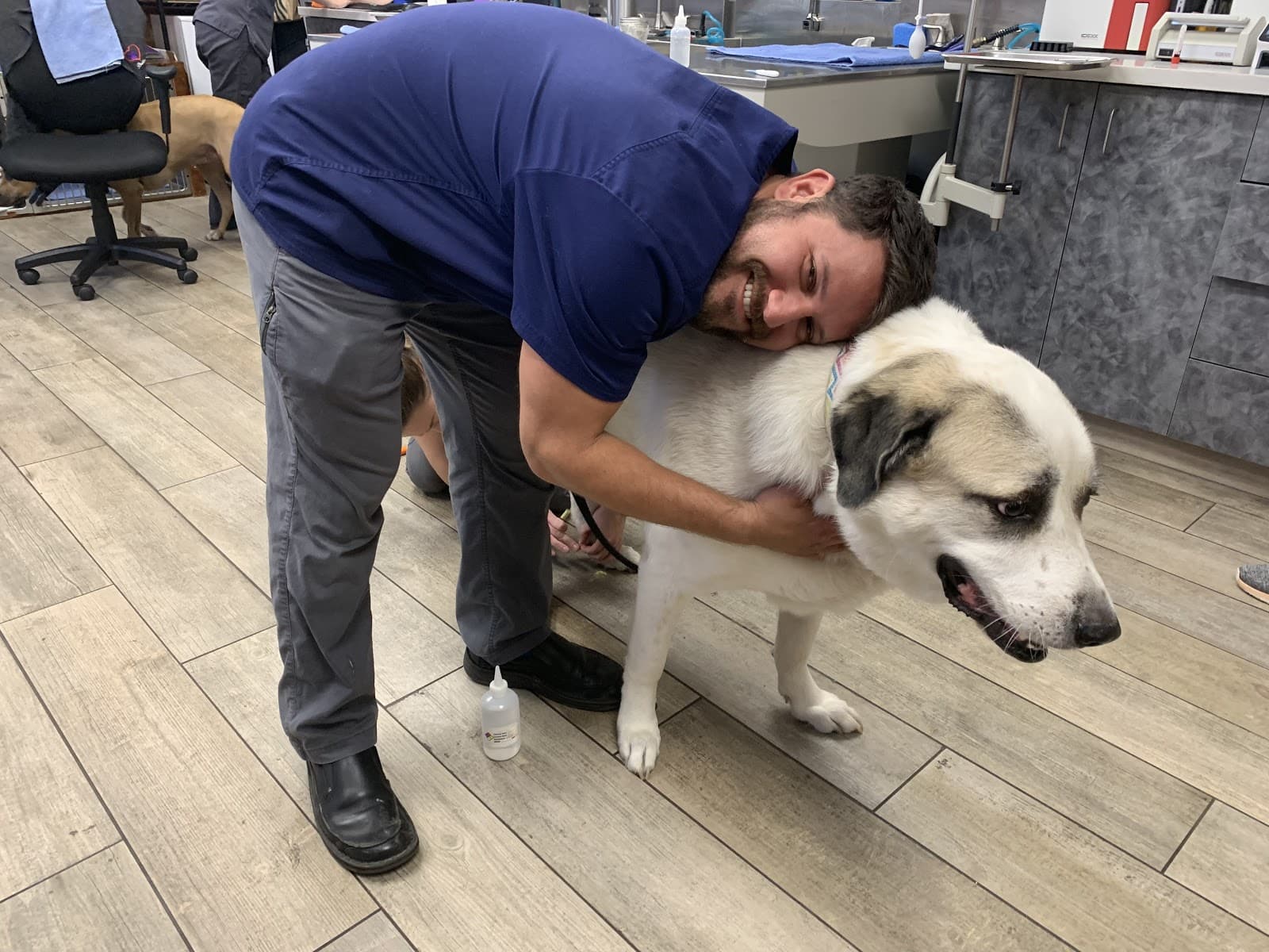 Broadway Veterinary Hospital