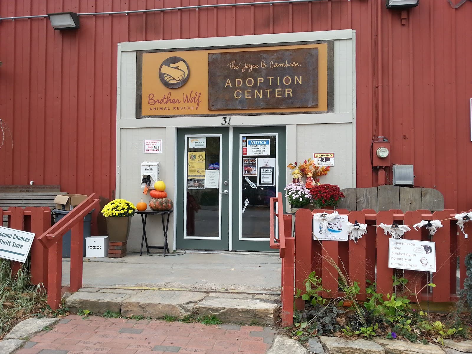 Brother Wolf Animal Rescue