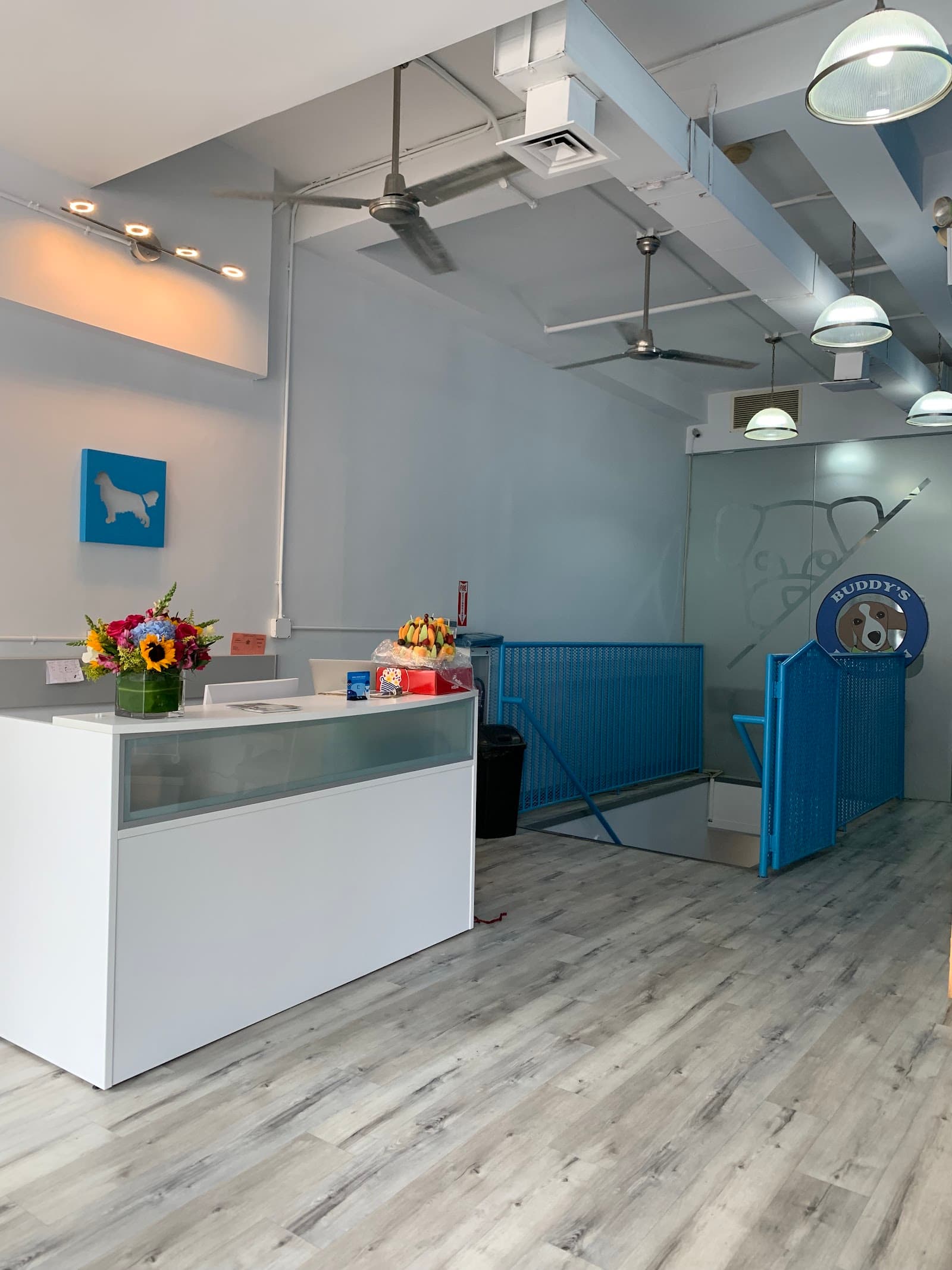 Buddy's Dog Den