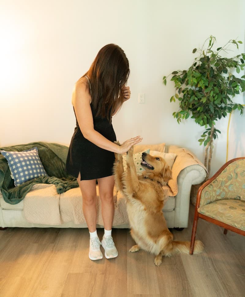 Simply Love Pet Grooming & Doggie Day Care