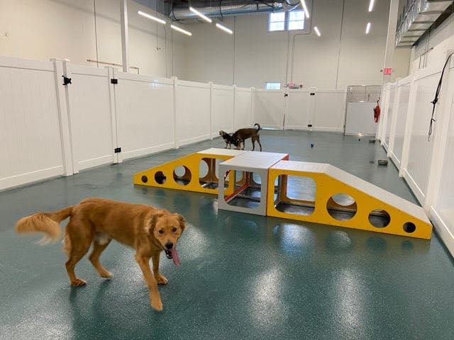 Best Friends Total Pet Care photo 2