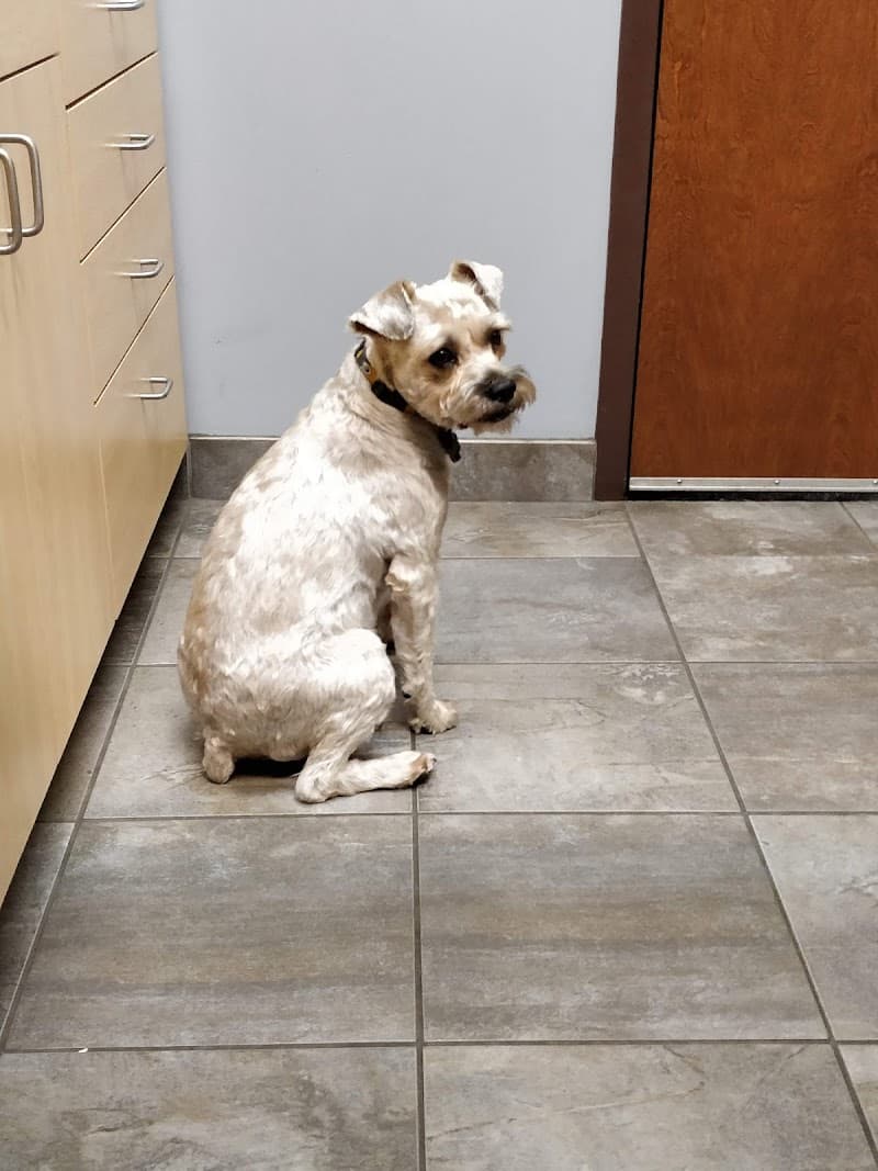 Pets First Veterinary Clinic