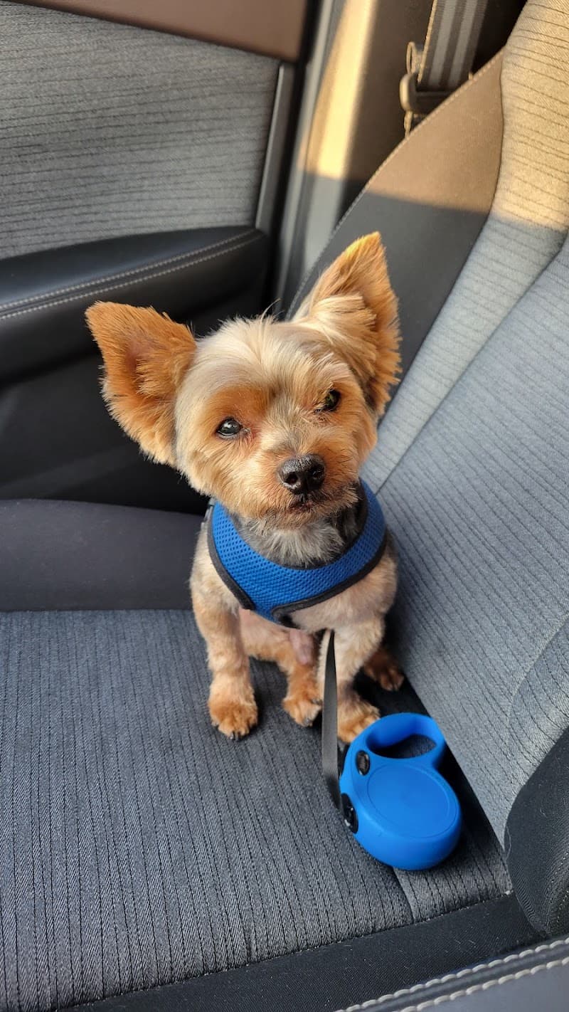 EmBark Pet Spa