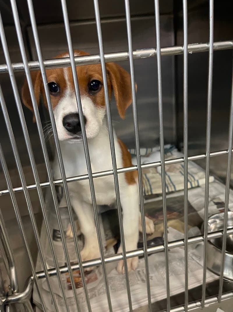 Northeast Ohio SPCA